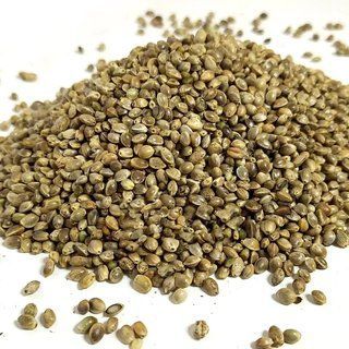 Насіння коноплі для риболовлі JamboMambo 5 кг HEMP5000 фото