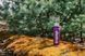 Термос Tramp Expedition Line 0,9 л фіолетовий UTRC-027-purple UTRC-027-purple фото 6