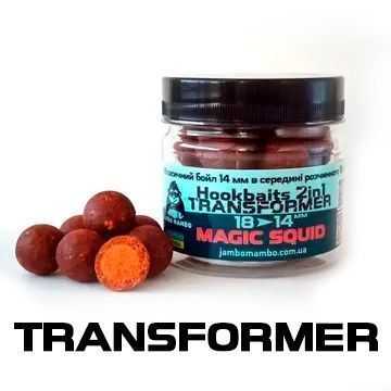 Бойли TRANSFORMER